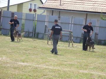 Ukážky prác PZ Rimavská Sobota Ukážky prác PZ Rimavská Sobota